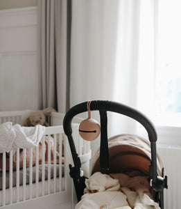 Pacifier Case // Dried Thyme